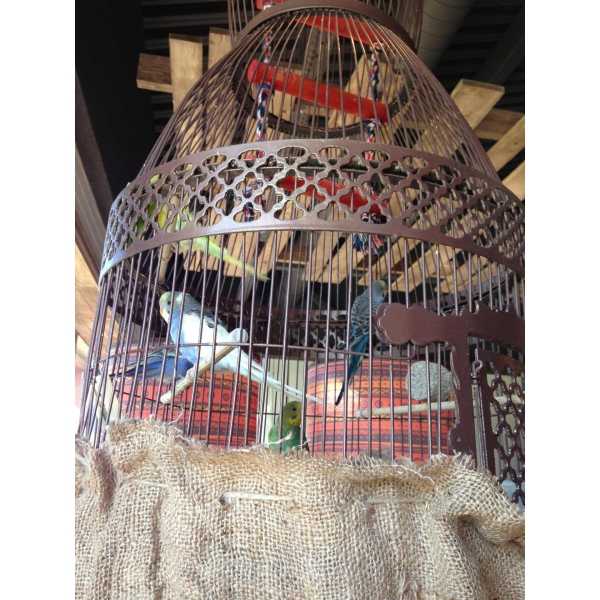 Ресторанный сервис бронирования столиков menu-rest.com - Интерьер ресторана "Бахрома №1"