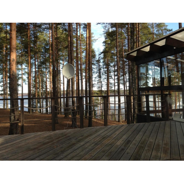 Ресторанный сервис бронирования столиков menu-rest.com - Интерьер ресторана "Лесная рапсодия"