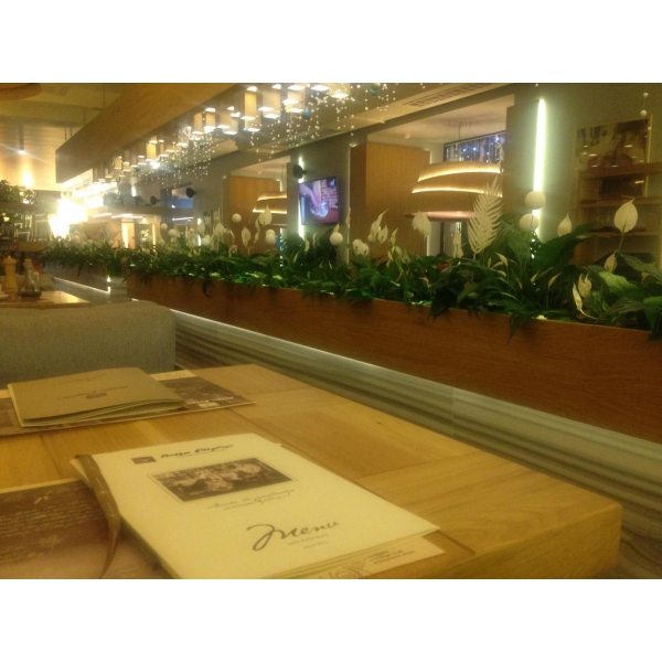 Ресторанный сервис бронирования столиков menu-rest.com - Интерьер ресторана "Bona Capona"