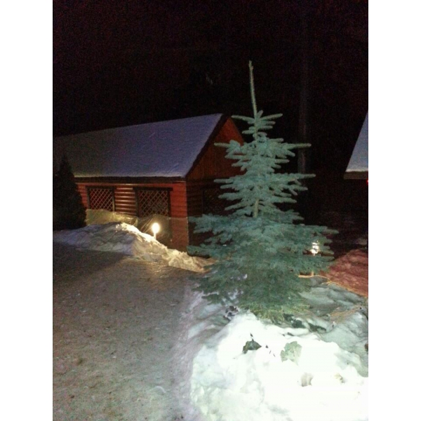 Ресторанный сервис бронирования столиков menu-rest.com - Интерьер ресторана "Усадьба в Юрлово"