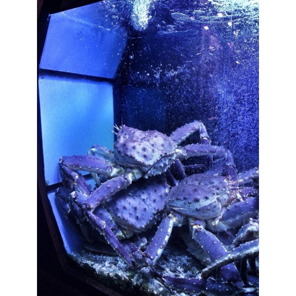 Ресторанный сервис бронирования столиков menu-rest.com - Интерьер ресторана "La Maree"