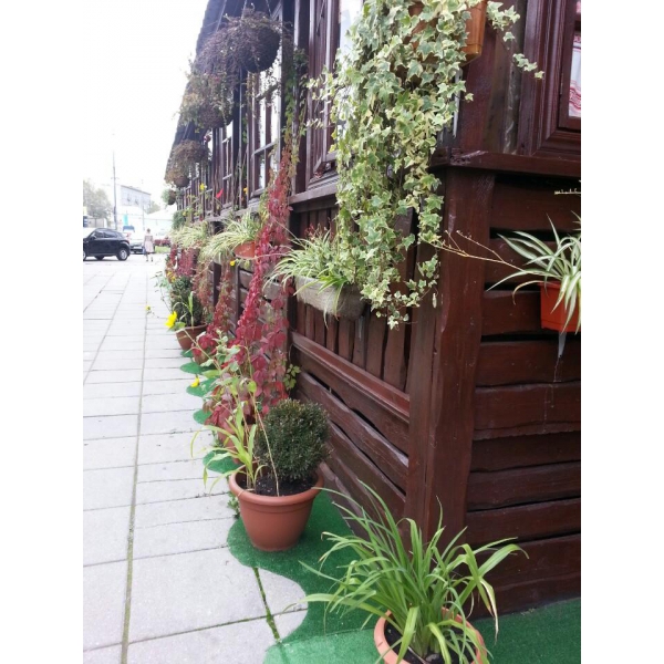 Ресторанный сервис бронирования столиков menu-rest.com - Интерьер ресторана "Тарас Бульба"