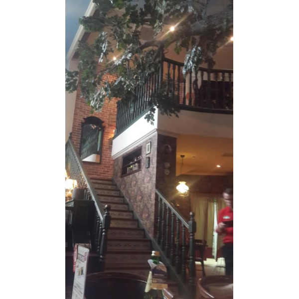 Ресторанный сервис бронирования столиков menu-rest.com - Интерьер ресторана "Ёлки-Палки"