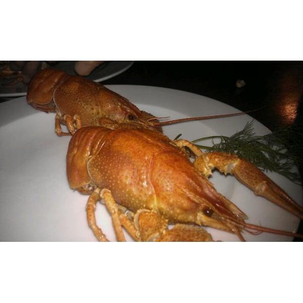 Ресторанный сервис бронирования столиков menu-rest.com - Интерьер ресторана "БирХаус"