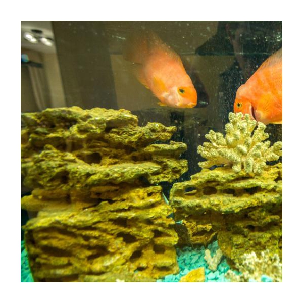 Ресторанный сервис бронирования столиков menu-rest.com - Интерьер ресторана "КАФЕ «САЯНЫ»"