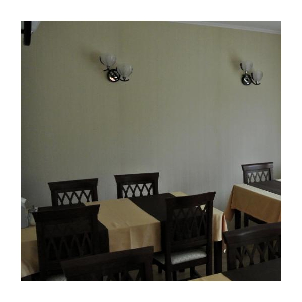 Ресторанный сервис бронирования столиков menu-rest.com - Интерьер ресторана "КАФЕ «САЯНЫ»"