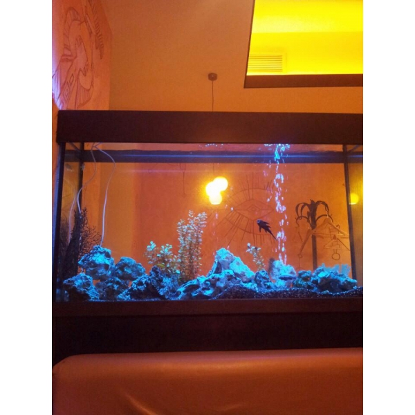 Ресторанный сервис бронирования столиков menu-rest.com - Интерьер ресторана "Нияма"