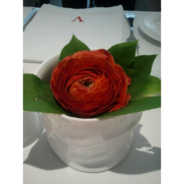 Ресторанный сервис бронирования столиков menu-rest.com - Интерьер ресторана "VOGUE cafe"