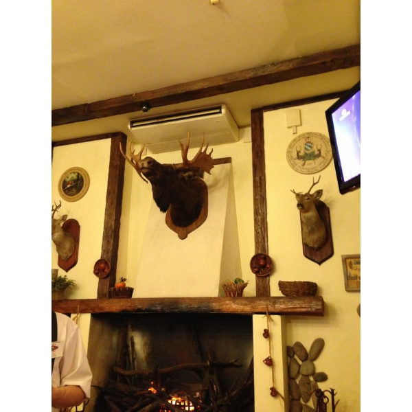 Ресторанный сервис бронирования столиков menu-rest.com - Интерьер ресторана "Старина Мюллер"