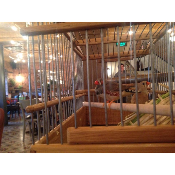 Ресторанный сервис бронирования столиков menu-rest.com - Интерьер ресторана "Пряности и радости"