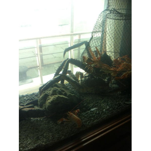 Ресторанный сервис бронирования столиков menu-rest.com - Интерьер ресторана "Ласточка"