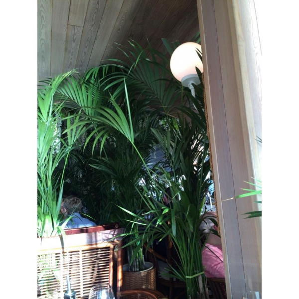 Ресторанный сервис бронирования столиков menu-rest.com - Интерьер ресторана "Ласточка"