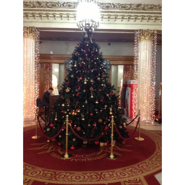 Ресторанный сервис бронирования столиков menu-rest.com - Интерьер ресторана "Советский"