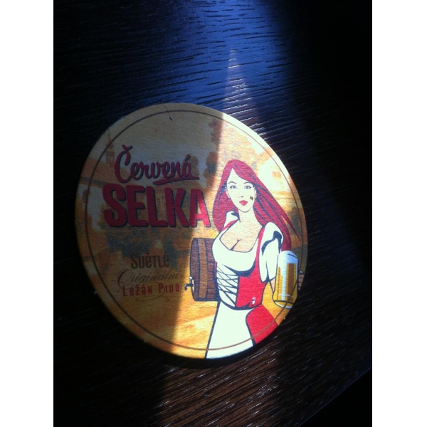 Ресторанный сервис бронирования столиков menu-rest.com - Интерьер ресторана "Glastonberry pub"