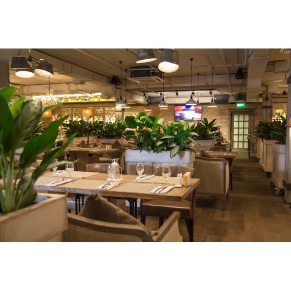 Ресторанный сервис бронирования столиков menu-rest.com - Интерьер ресторана "Кувшин"