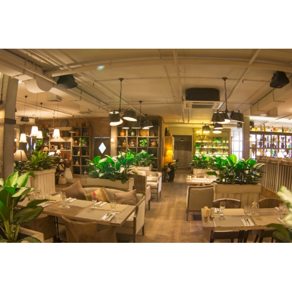 Ресторанный сервис бронирования столиков menu-rest.com - Интерьер ресторана "Кувшин"