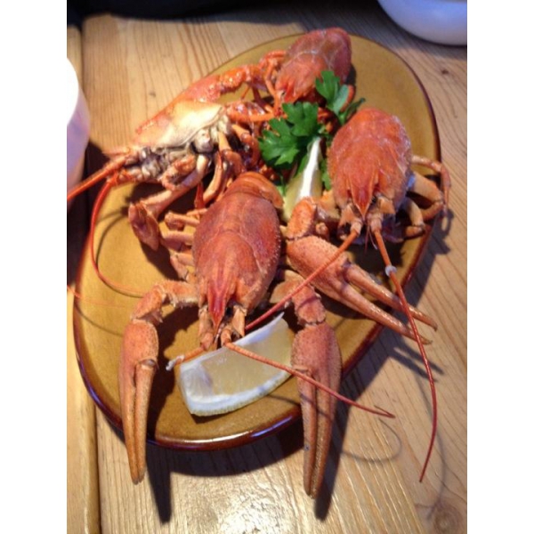 Ресторанный сервис бронирования столиков menu-rest.com - Интерьер ресторана "Ёрш"