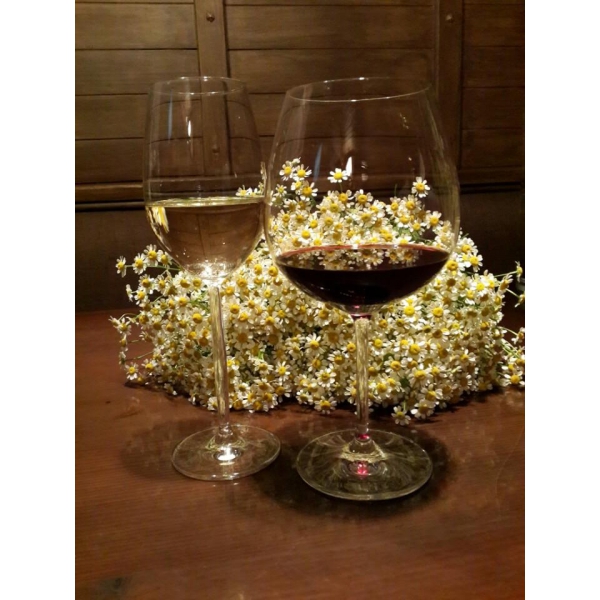 Ресторанный сервис бронирования столиков menu-rest.com - Интерьер ресторана "Эль Гаучо"