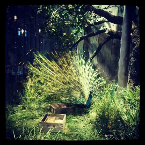 Ресторанный сервис бронирования столиков menu-rest.com - Интерьер ресторана "Шинок"