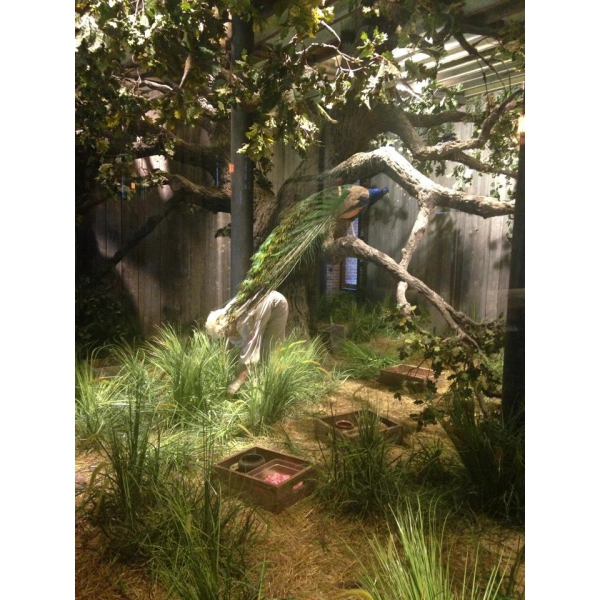 Ресторанный сервис бронирования столиков menu-rest.com - Интерьер ресторана "Шинок"