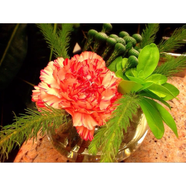 Ресторанный сервис бронирования столиков menu-rest.com - Интерьер ресторана "Il Pittore"