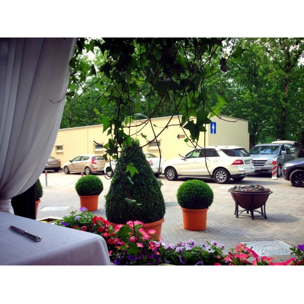 Ресторанный сервис бронирования столиков menu-rest.com - Интерьер ресторана "Tatler club"