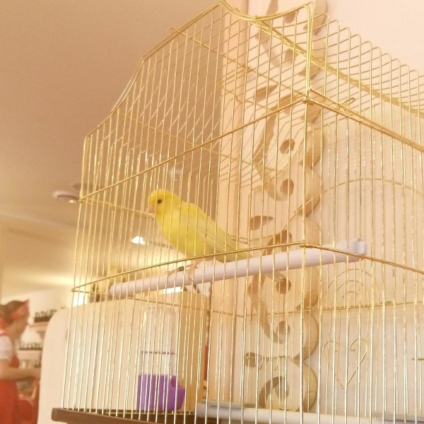 Ресторанный сервис бронирования столиков menu-rest.com - Интерьер ресторана "Илья Муромец"