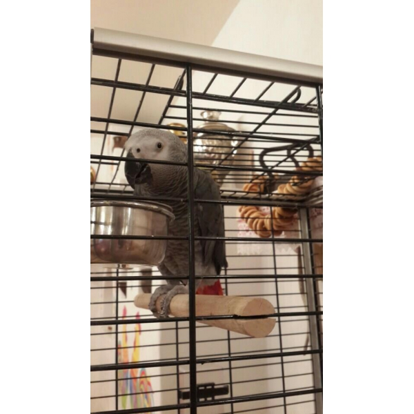 Ресторанный сервис бронирования столиков menu-rest.com - Интерьер ресторана "Илья Муромец"