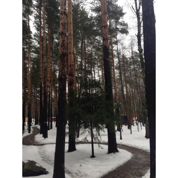 Ресторанный сервис бронирования столиков menu-rest.com - Интерьер ресторана "Artiland"