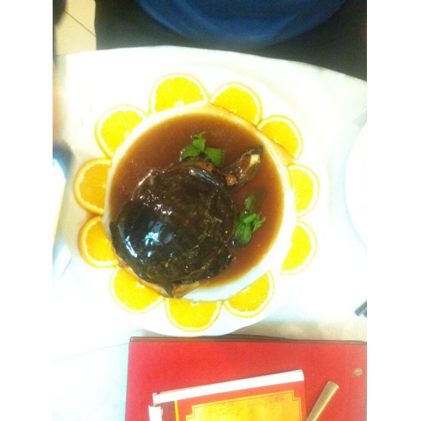 Ресторанный сервис бронирования столиков menu-rest.com - Интерьер ресторана "Харбин"