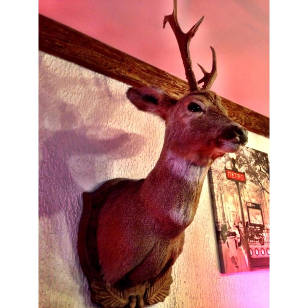 Ресторанный сервис бронирования столиков menu-rest.com - Интерьер ресторана "Бергштайн"