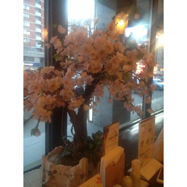 Ресторанный сервис бронирования столиков menu-rest.com - Интерьер ресторана "Ichiban Boshi"