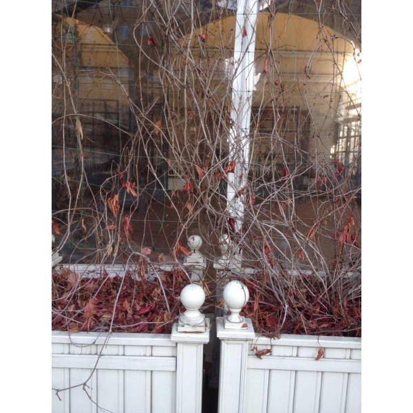 Ресторанный сервис бронирования столиков menu-rest.com - Интерьер ресторана "Тифлисский Дворик"