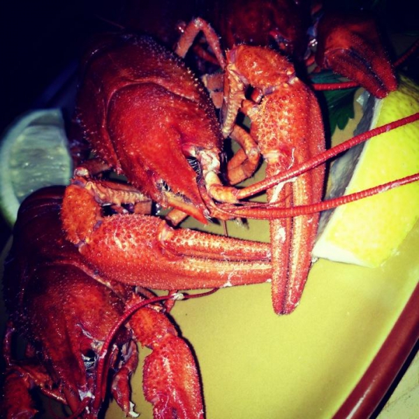 Ресторанный сервис бронирования столиков menu-rest.com - Интерьер ресторана "Ёрш"