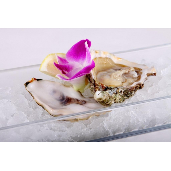 Ресторанный сервис бронирования столиков menu-rest.com - Интерьер ресторана "Чайка"