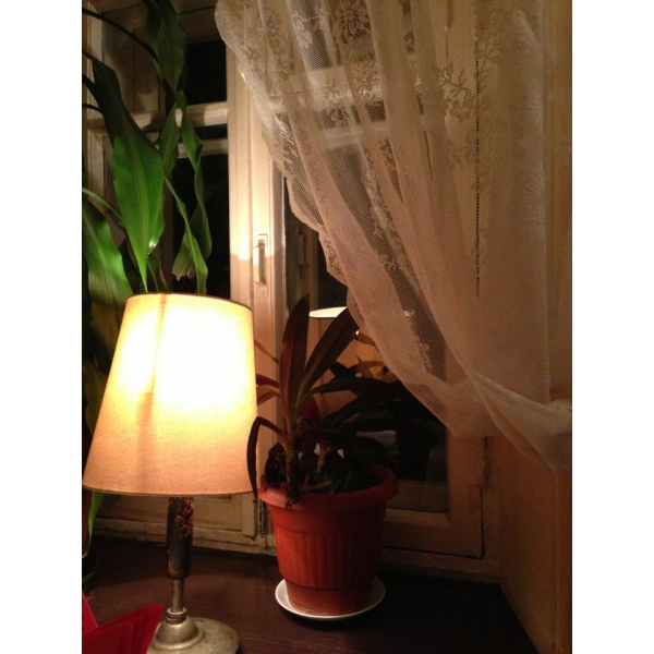 Ресторанный сервис бронирования столиков menu-rest.com - Интерьер ресторана "Дача на Покровке"