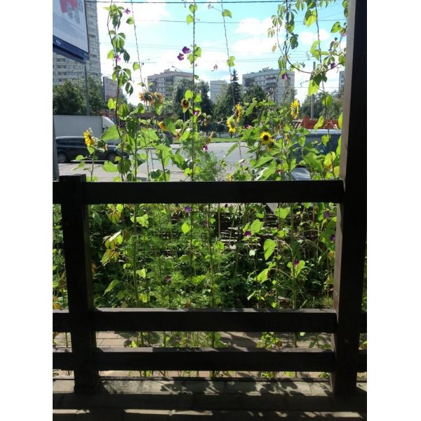 Ресторанный сервис бронирования столиков menu-rest.com - Интерьер ресторана "Вечера на хуторе"