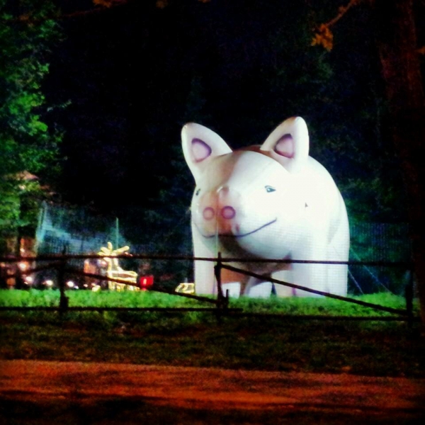 Ресторанный сервис бронирования столиков menu-rest.com - Интерьер ресторана "Твин Пигз"