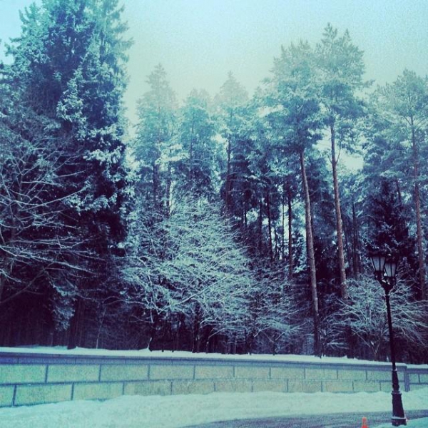 Ресторанный сервис бронирования столиков menu-rest.com - Интерьер ресторана "Империал Парк Отель & SPA"