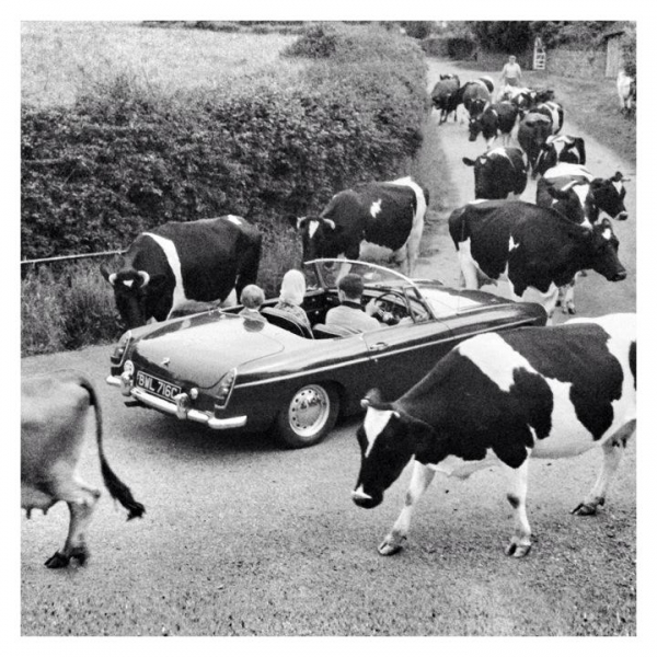 Ресторанный сервис бронирования столиков menu-rest.com - Интерьер ресторана "Эль Гаучито"