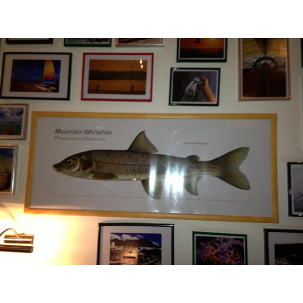 Ресторанный сервис бронирования столиков menu-rest.com - Интерьер ресторана "Филимонова и Янкель"