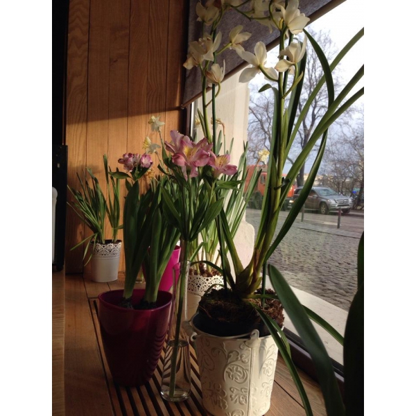 Ресторанный сервис бронирования столиков menu-rest.com - Интерьер ресторана "Seiji"