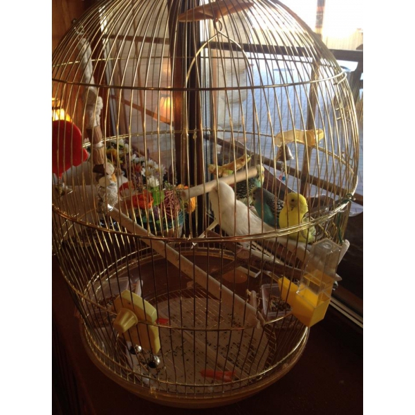 Ресторанный сервис бронирования столиков menu-rest.com - Интерьер ресторана "Купец"