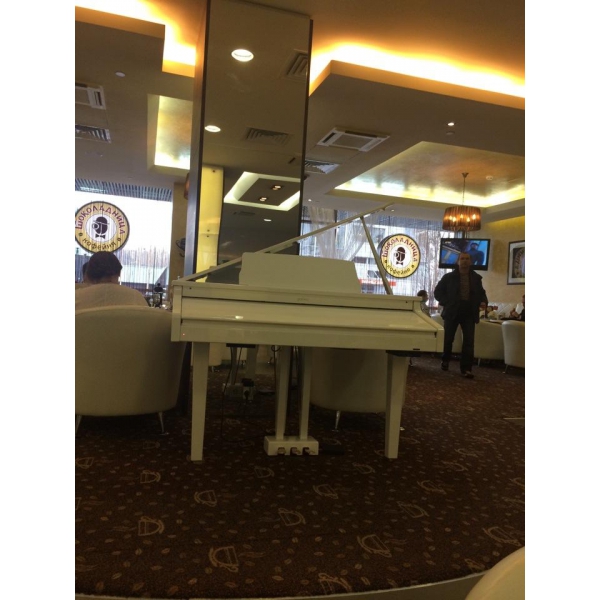 Ресторанный сервис бронирования столиков menu-rest.com - Интерьер ресторана "Альфа"