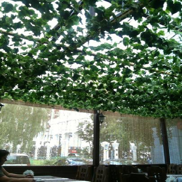 Ресторанный сервис бронирования столиков menu-rest.com - Интерьер ресторана "Сады Семирамиды"