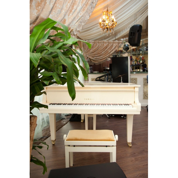 Ресторанный сервис бронирования столиков menu-rest.com - Интерьер ресторана "Gotinaza"