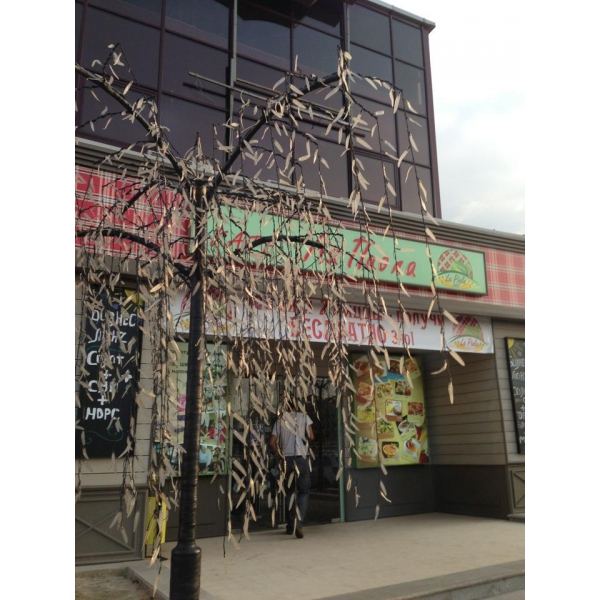 Ресторанный сервис бронирования столиков menu-rest.com - Интерьер ресторана "La Piola"