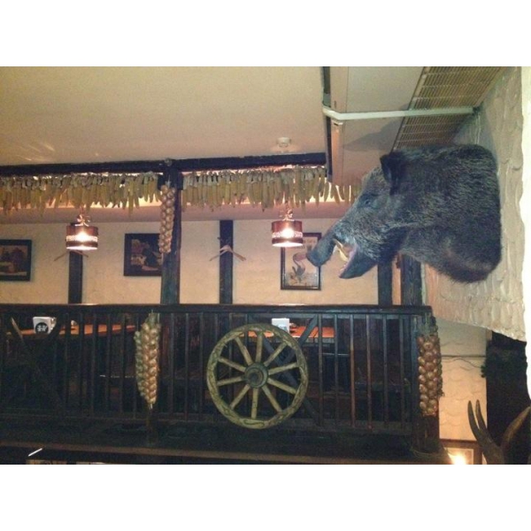 Ресторанный сервис бронирования столиков menu-rest.com - Интерьер ресторана "Пивнушка"