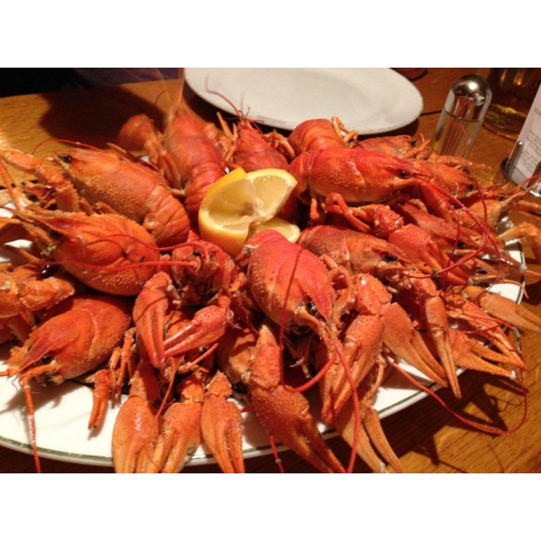 Ресторанный сервис бронирования столиков menu-rest.com - Интерьер ресторана "Пивнушка"