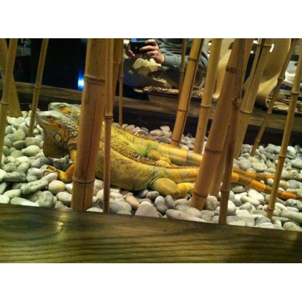 Ресторанный сервис бронирования столиков menu-rest.com - Интерьер ресторана "Нэцкэ"